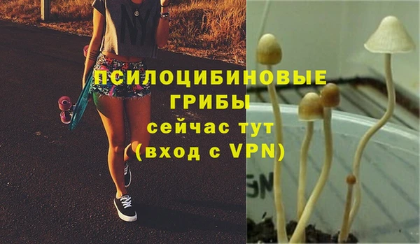 каннабис Богородск