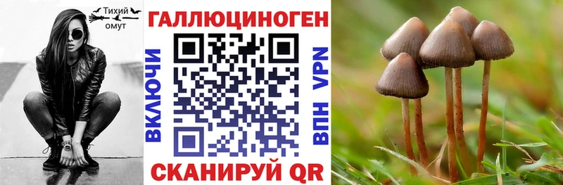 Галлюциногенные грибы Psilocybine cubensis  что такое   Тосно 
